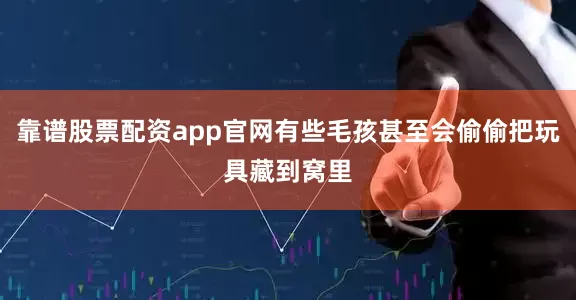 靠谱股票配资app官网有些毛孩甚至会偷偷把玩具藏到窝里