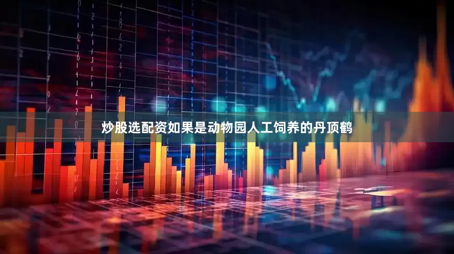 炒股选配资如果是动物园人工饲养的丹顶鹤
