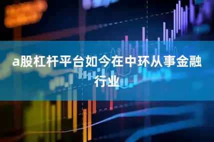 a股杠杆平台如今在中环从事金融行业