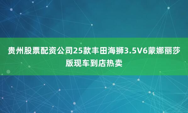 贵州股票配资公司25款丰田海狮3.5V6蒙娜丽莎版现车到店热卖
